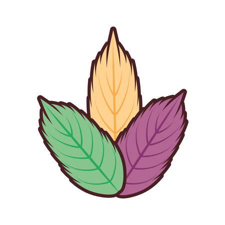 decorative feather isolated icon vector illustration designのイラスト素材