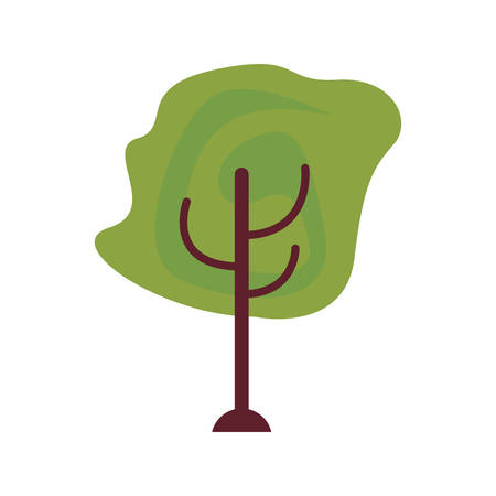 tree botanical natural on white background vector illustrationのイラスト素材