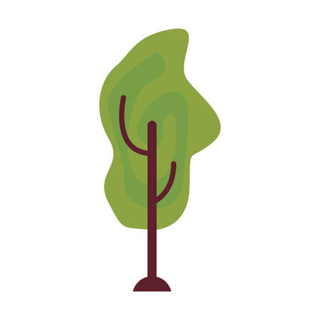 tree botanical natural on white background vector illustrationのイラスト素材