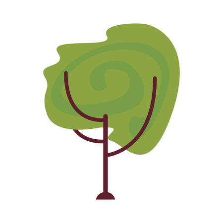 tree botanical natural on white background vector illustrationのイラスト素材