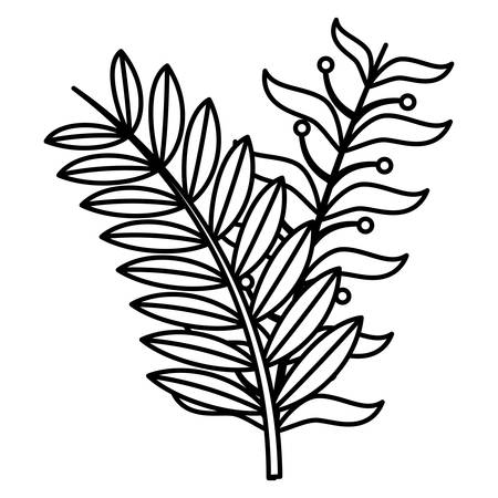 tropical leaves over white background, vector illustrationのイラスト素材