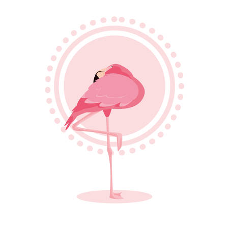 beautiful flamingo bird stand vector illustration designのイラスト素材
