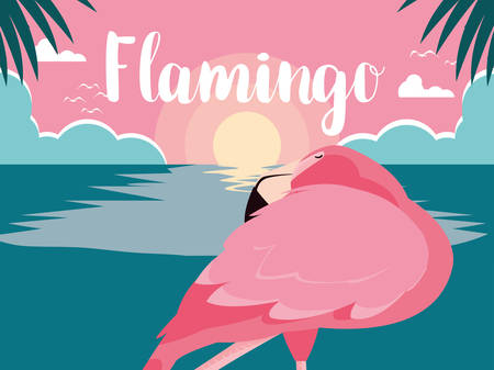 beautiful flamingo bird stand in the landscape vector illustration designのイラスト素材