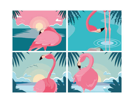 flamingos birds flock in the landscape scenes vector illustration designのイラスト素材