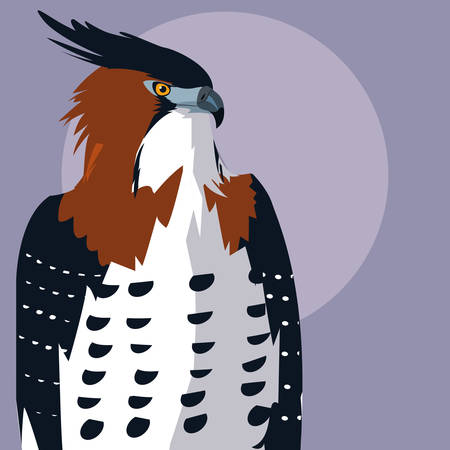 imposing hawk bird icon vector illustration designのイラスト素材