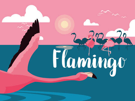 beautiful flamingos birds flock in the landscape vector illustration designのイラスト素材