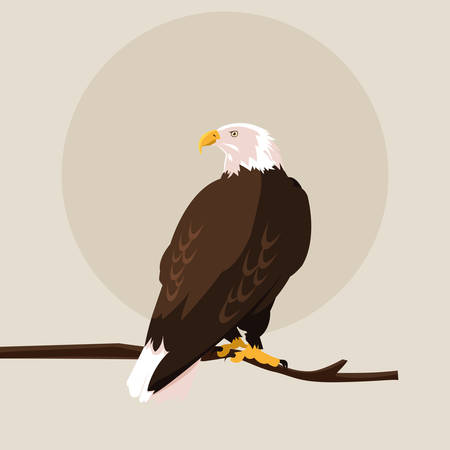 bald eagle bird in the branch vector illustration designのイラスト素材