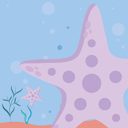 sea star icon over white background, vector illustrationのイラスト素材