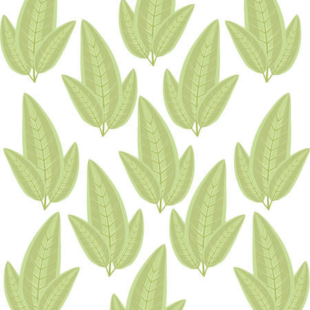 ecology leafs plants pattern vector illustration designのイラスト素材