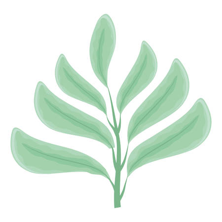branch with leafs icon vector illustration designのイラスト素材