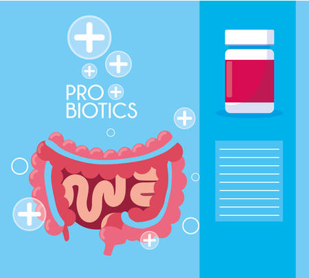 digestive system with probiotics medicines vector illustration designのイラスト素材
