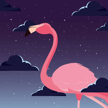 Cute flamingo bird nightのイラスト素材