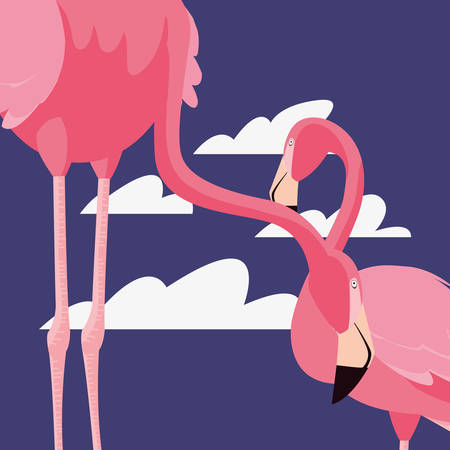 flamingos exotic birds tropical landscape vector illustrationのイラスト素材