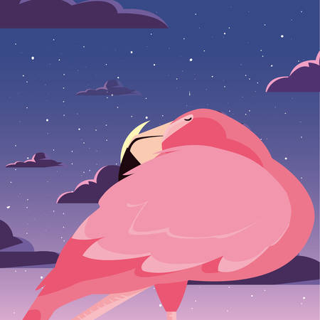flamingo bird in the night vector illustrationのイラスト素材
