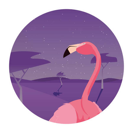 flamingo bird in the landscape vector illustrationのイラスト素材