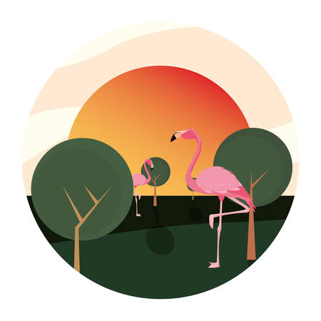 flamingo bird in the landscape vector illustrationのイラスト素材