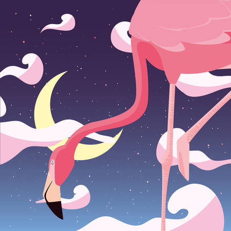 flamingo bird in the night vector illustrationのイラスト素材