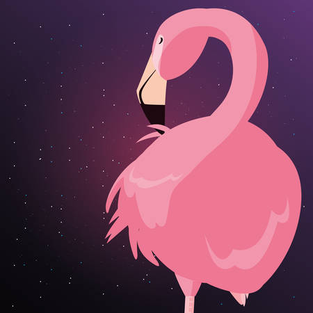 flamingo bird starry night background vector illustrationのイラスト素材