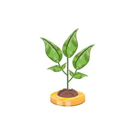 plant of bills dollar isolated icon vector illustration designのイラスト素材