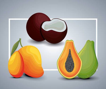 fresh mango with papaya and coconut vector illustration designのイラスト素材