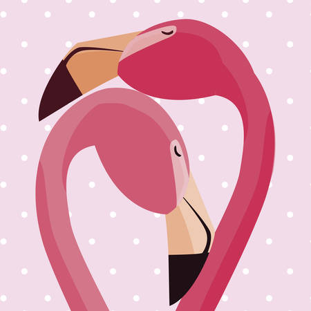 elegant flamingo birds couple dotted background vector illustration designのイラスト素材