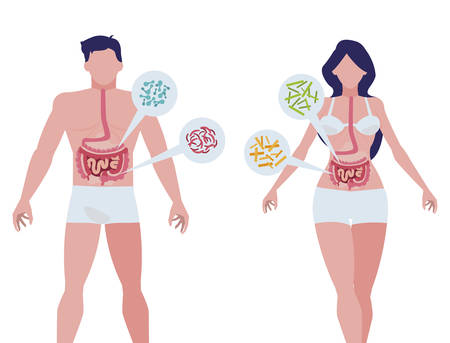 couple with bacterias infographics characters vector illustration designのイラスト素材