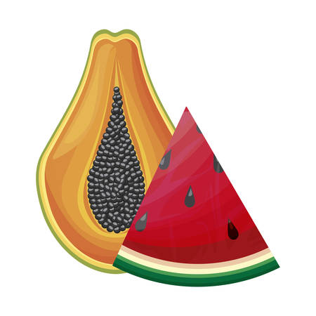 fresh half of papaya and watermelon fruits vector illustration designのイラスト素材