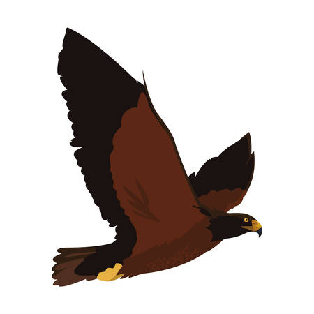 beautiful eagle flying majestic bird vector illustration designのイラスト素材
