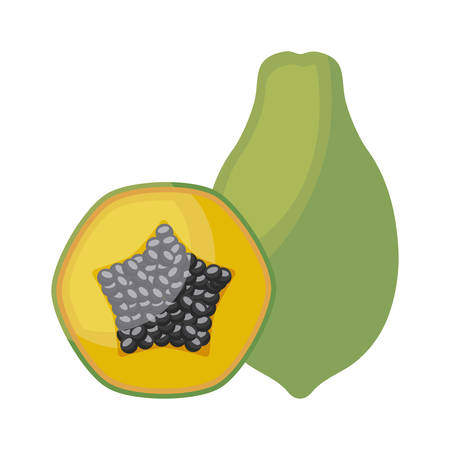 fresh papaya with slice fruits healthy vector illustration designのイラスト素材