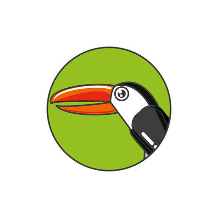 toucan bird animal in frame circular vector illustration designのイラスト素材