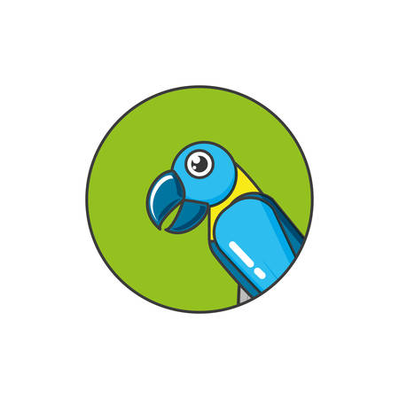 parrot bird animal in frame circular vector illustration designのイラスト素材