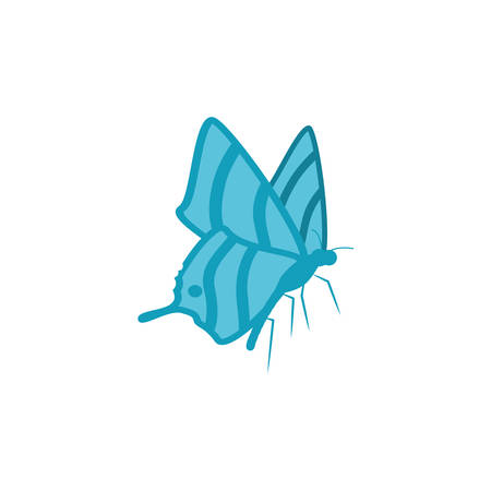beautiful butterfly isolated icon vector illustration designのイラスト素材