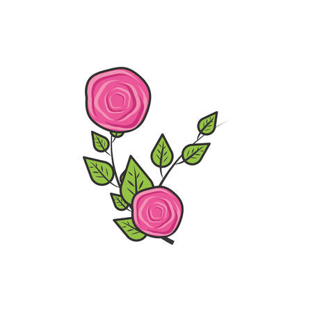 beautiful roses naturals with leafs vector illustration designのイラスト素材