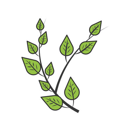 branch with leafs naturals vector illustration designのイラスト素材