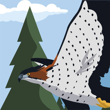 beautiful hawk flying majestic bird in the landscape vector illustration designのイラスト素材