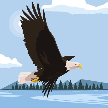 beautiful bald eagle flying in the lake scene vector illustration designのイラスト素材