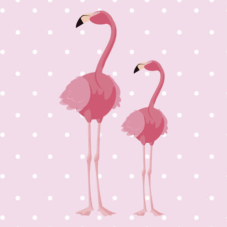 elegant flamingo birds couple dotted background vector illustration designのイラスト素材