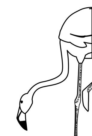 exotic flemish bird with head down vector illustration designのイラスト素材