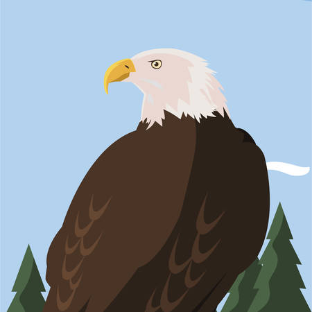 beautiful bald eagle animal in landscape vector illustration designのイラスト素材