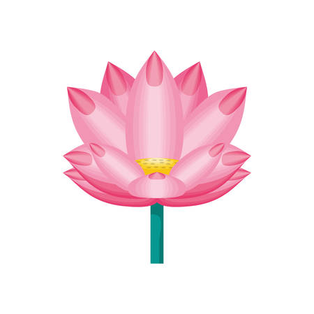 chinese flower natural icon vector illustration designのイラスト素材