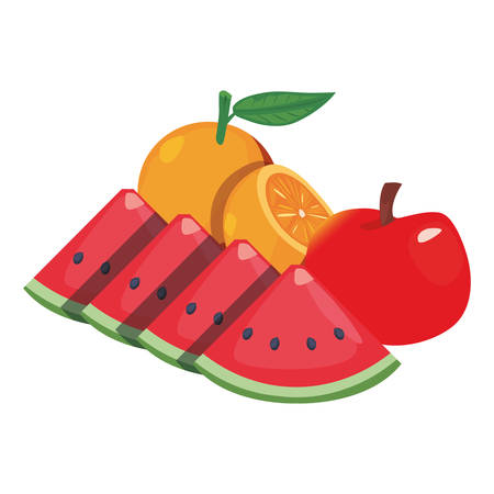 orange watermelon apple fresh food vector illustrationのイラスト素材