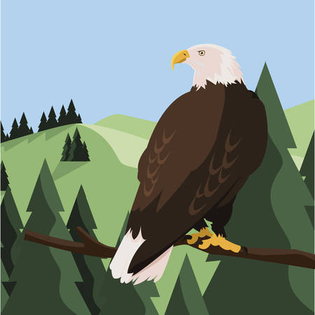 beautiful bald eagle in tree branch landscape scene vector illustration designのイラスト素材