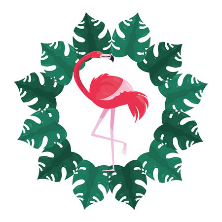summer time holiday flamingo tropical frame vector illustrationのイラスト素材