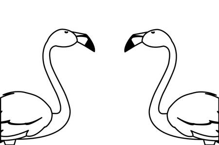 exotic flemish couple birds with heads up vector illustration designのイラスト素材