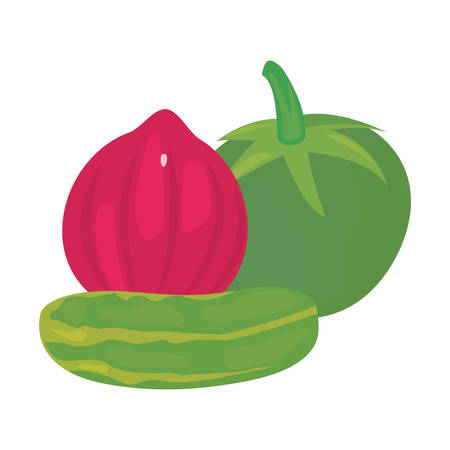 red onion cucumber tomato fresh food illustrationのイラスト素材