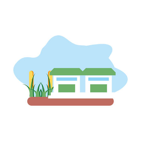 plantation corn natural with houses facade vector illustration designのイラスト素材