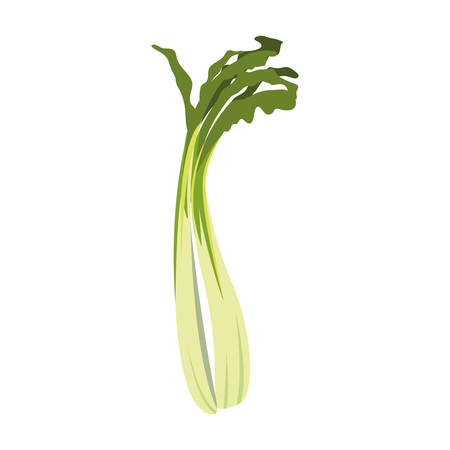 celery design, Vegetable organic food healthy fresh natural and market theme Vector illustrationのイラスト素材