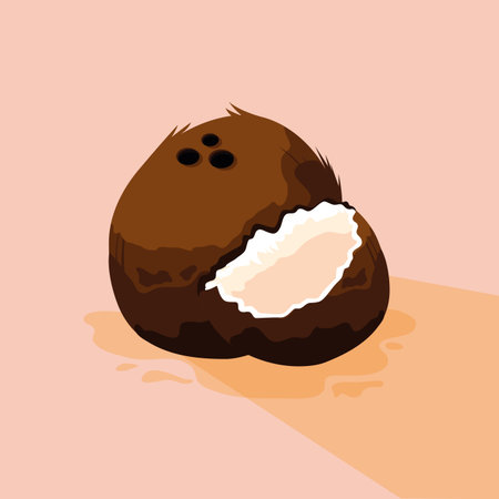 Coconut design, Fruit healthy organic food sweet and nature theme Vector illustrationのイラスト素材
