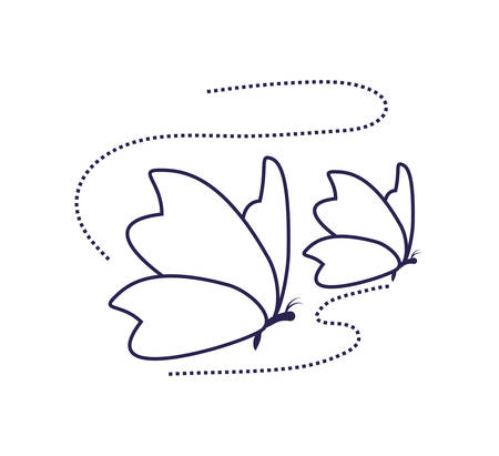 Butterfly design, insect animal wings nature summer beauty and spring theme Vector illustrationのイラスト素材
