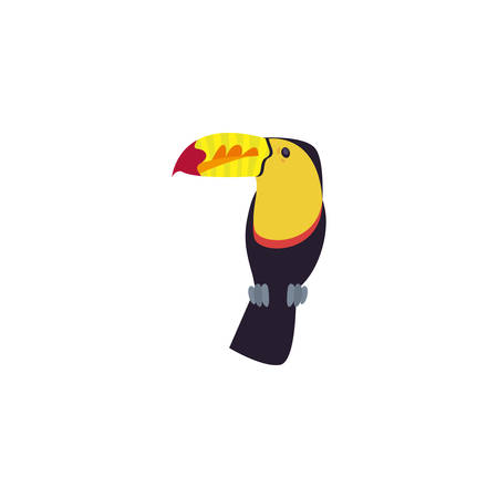 beautiful toucan on white background vector illustration designのイラスト素材